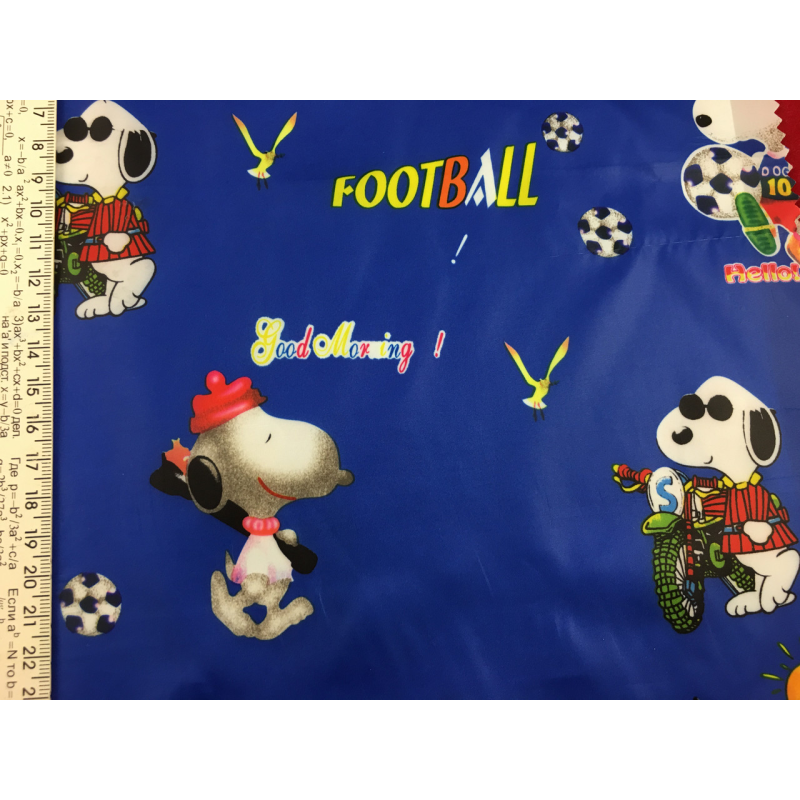 Плащовка снупі на синьому спорт