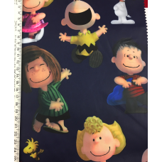 Плащівка принтована