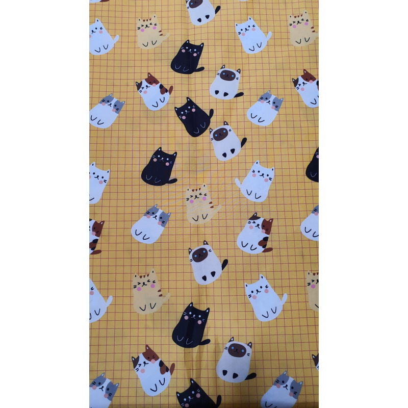 Плащівка кішечки