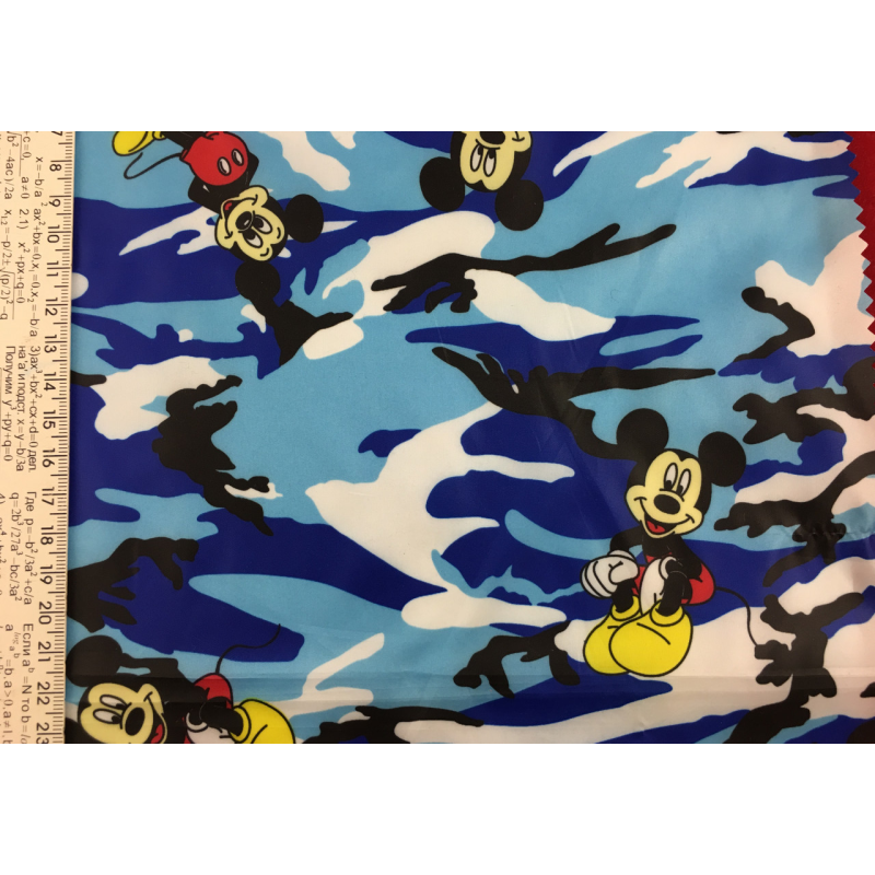 Плащівка Мікі зима