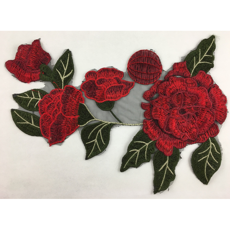 Троянда з темно-зеленим листям Троянда з темно-зеленим листям