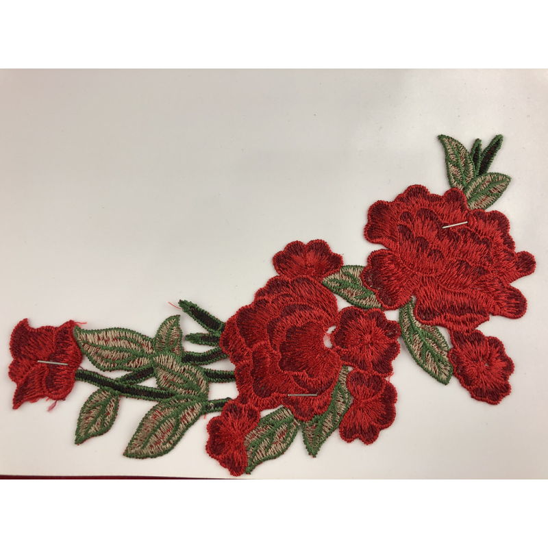 Троянда 6079 Троянда 6079