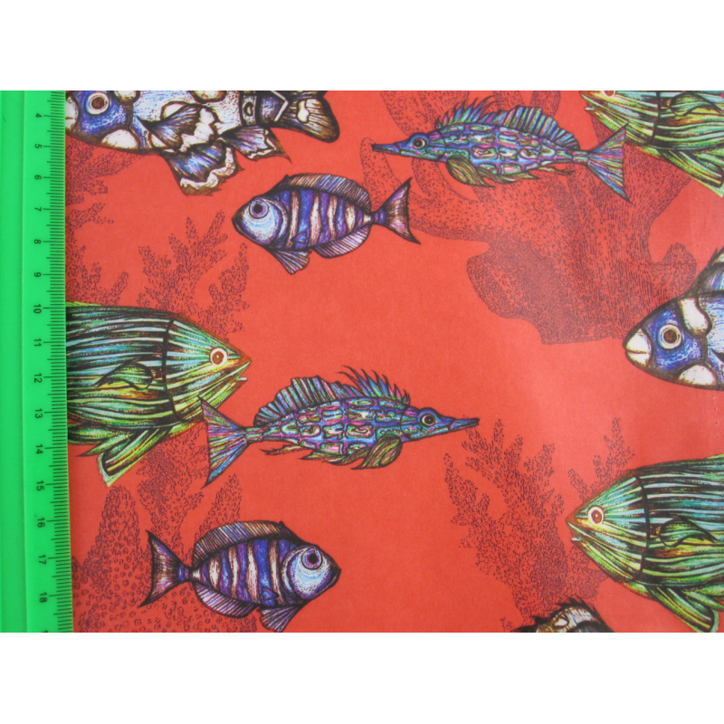 Плащівка дитяча рибки Плащівка дитяча рибки